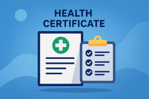 보건증발급-보건증발급방법-온라인보건증발급-보건증발급기간-보건증발급비용