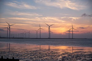 Wind turbines on the shoreline silhouette against a vibrant sunset, promoting renewable energy.