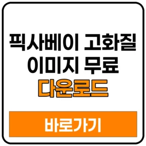 픽사베이 고화질 이미지 무료 다운로드